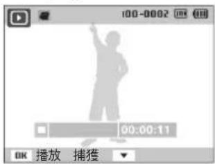 100-0002 00:00:11 OK 播放 捕獲