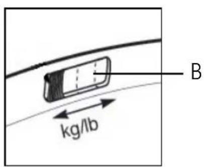B kg/lb