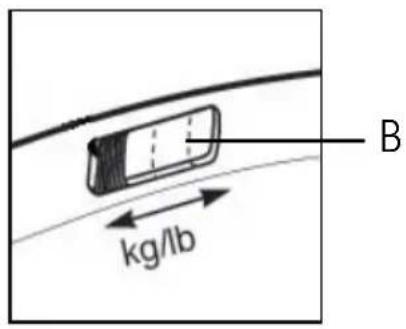 B kg/lb