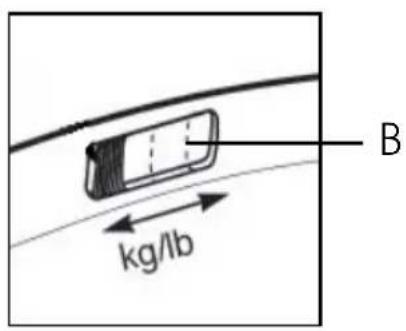 B kg/lb