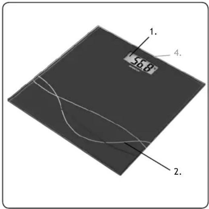 1. 56.8° 2. 4.