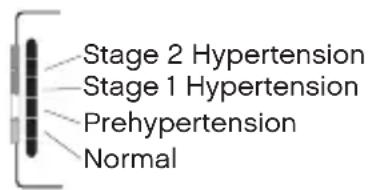 Stage 2 Hypertension Stage 1 Hypertension Prehypertension Normal