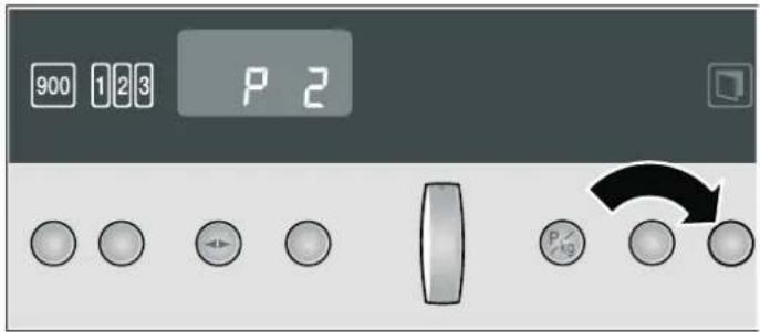 900 123 P 2 P/10