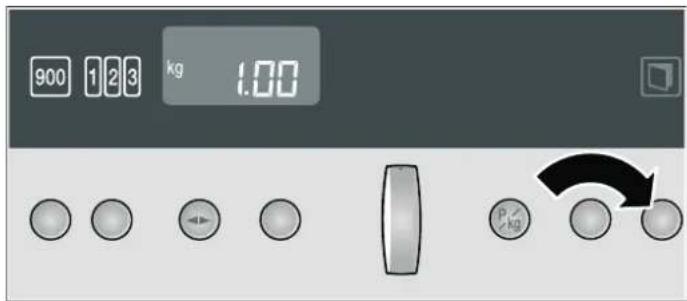 900 123 kg 1.00 P/kg