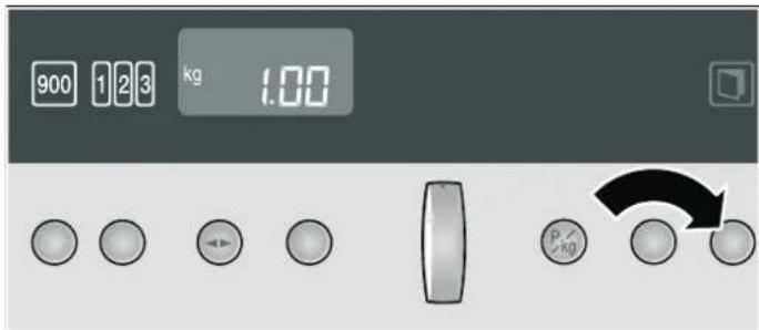 900 123 kg 1.00 P/kg