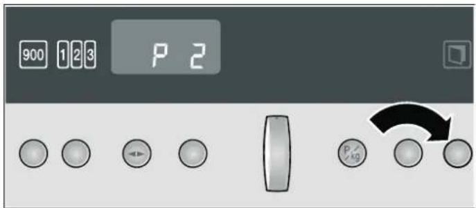 900 1 2 3 P 2 P kg