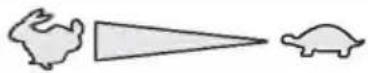 AL-KO Silver 46 BR-A Comfort - mit Gasfernbedienung, ohne Primer/Choke - 1