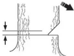 Diagram illustrating tree root damage with arrows indicating damage direction and structural breakness