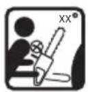 HUSQVARNA 365 X-Torq - Symbols on the product - 20