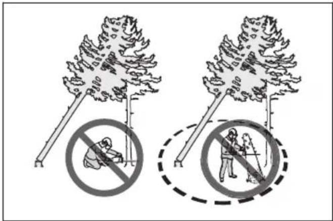 Diagram illustrating two types of forest protection symbols: no littering and no walking, with corresponding prohibition signs.