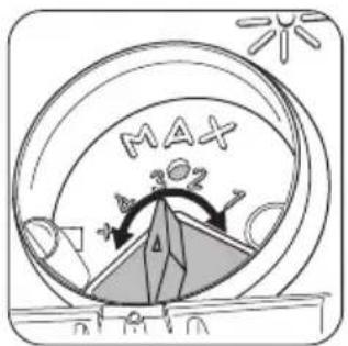 MAX 202