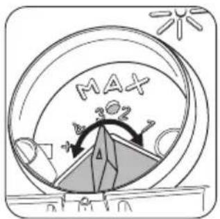 MAX 202