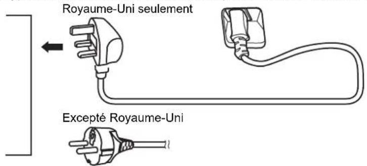 Royaume-Uni seulement Excepté Royaume-Uni