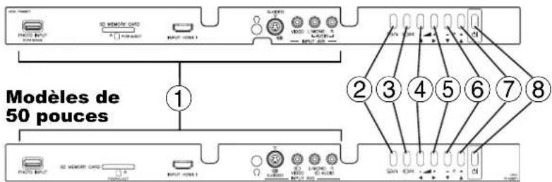 Modèles de 50 pouces