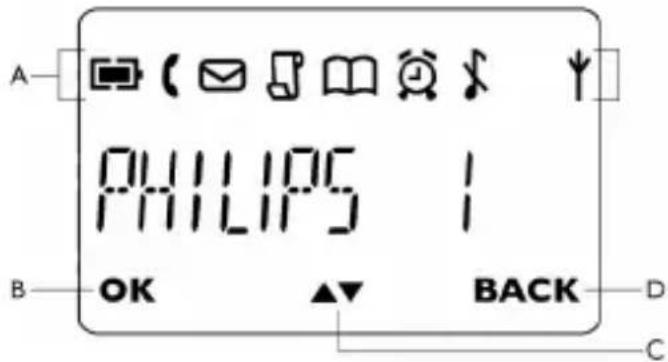 A PHILLIPS 1 B OK BACK D C