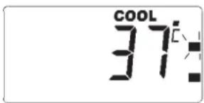 COOL 37: