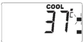 COOL 37:
