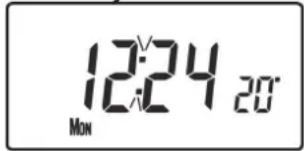 12:24 20° MON