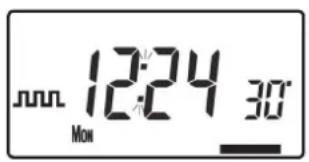 Mon 12:24 30°