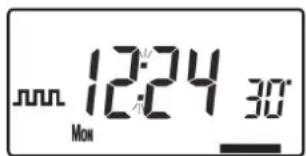 Mon 12:24 30°