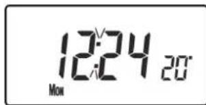 12:24 20 Mon