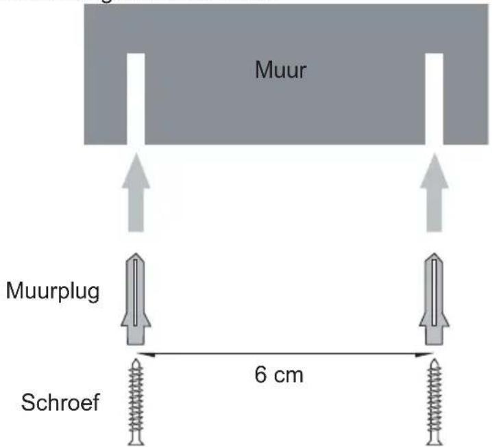 Muur Muurplug Schroef 6 cm