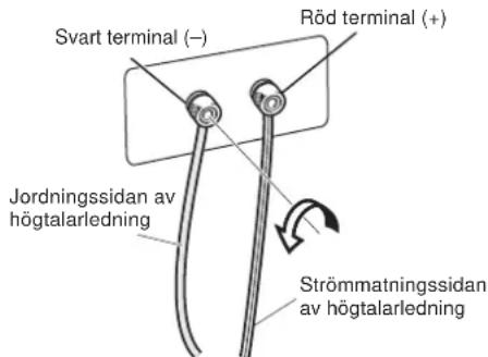 Svart terminal (−) Röd terminal (+) Jordningssidan av högtalarledning Strömmatningssidan av högtalarledning