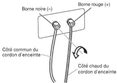 Borne noire (−) Borne rouge (+) Côté commun du cordon d'enceinte Côté chaud du cordon d'enceinte