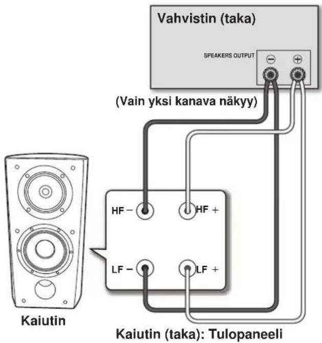 Vahvistin (taka) SPEAKERS OUTPUT (Vain yksi kanava näkyy) Kaiutin HF - HF + LF - LF + Kaiutin (taka): Tulopaneeli