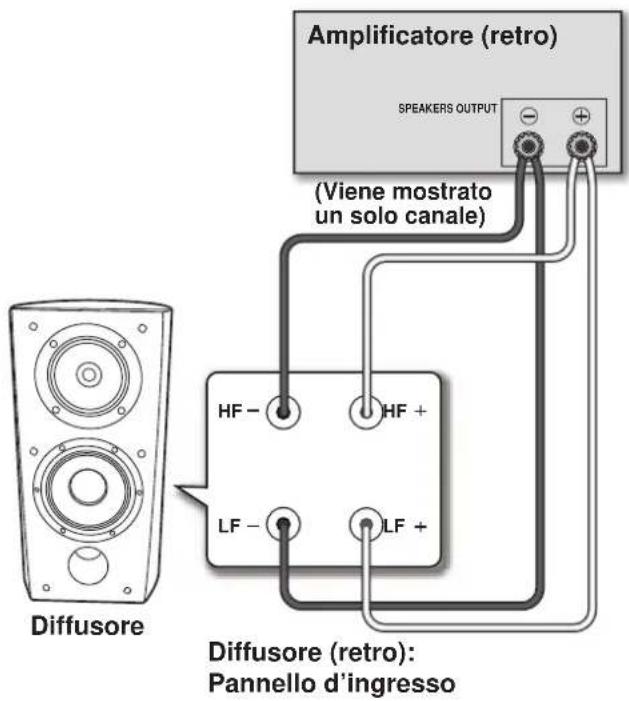 Amplificatore (retro) SPEAKERS OUTPUT (Viene mostrato un solo canale) Diffusore Diffusore (retro): Pannello d'ingresso