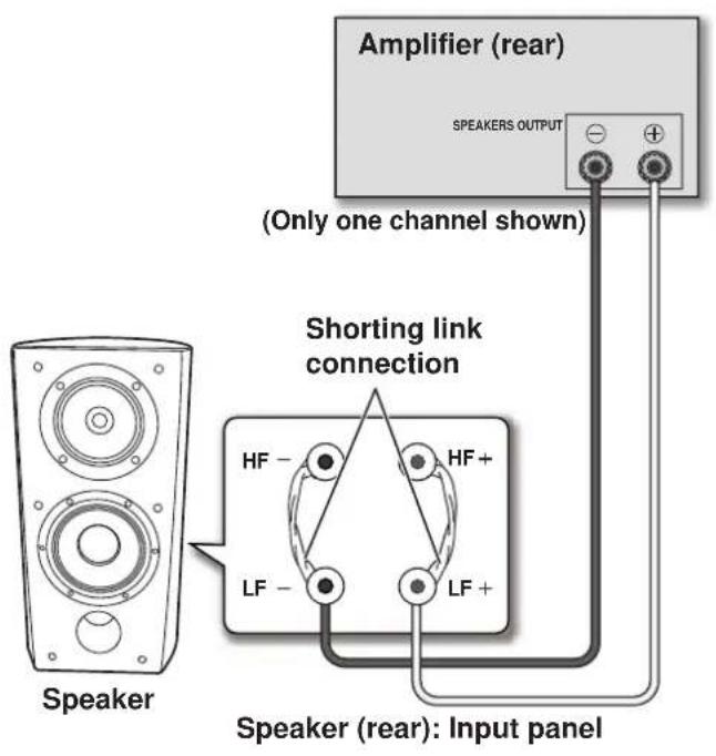 Amplifier (rear) SPEAKERS OUTPUT (Only one channel shown) Shorting link connection Speaker HF - HF+ LF - LF + Speaker (rear): Input panel