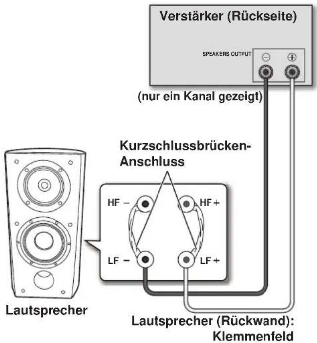 Verstärker (Rückseite) SPEAKERS OUTPUT (nur ein Kanal gezeigt) Kurzschlussbrücken-Anschluss HF - HF+ LF - LF + Lautsprecher (Rückwand): Klemmenfeld