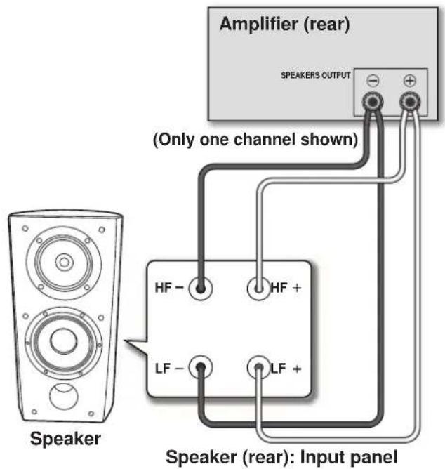 Amplifier (rear) SPEAKERS OUTPUT (Only one channel shown) Speaker HF - HF + LF - LF + Speaker (rear): Input panel