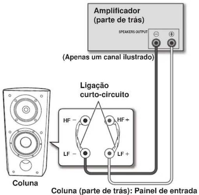 Amplificador (partte de trás) SPEAKERS OUTPUT (Apenas um canal ilustrado) Ligação curto-circuito HF - HF+ LF - LF + Coluna Coluna (parte de trás): Painel de entrada