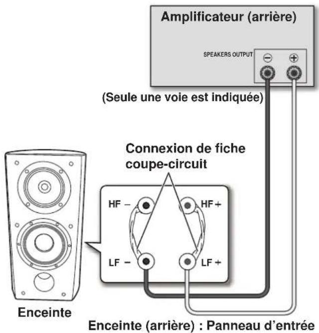 Amplificateur (arrière) SPEAKERS OUTPUT (Seule une voie est indiquée) Connexion de fiche coupe-circuit HF - HF+ LF - LF + Enceinte Enceinte (arrière) : Panneau d'entrée