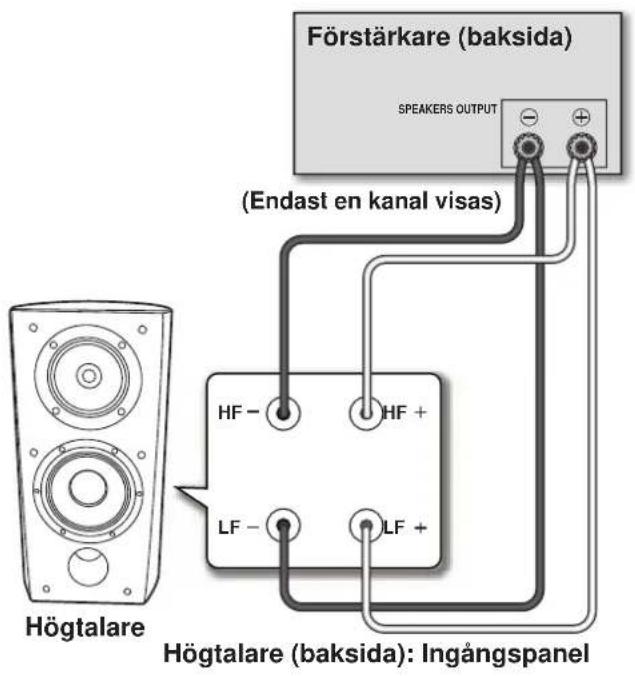 Förstärkare (baksida) SPEAKERS OUTPUT (Endast en kanal visas) Högtalare HF - HF + LF - LF + Högtalare (baksida): Ingångspanel