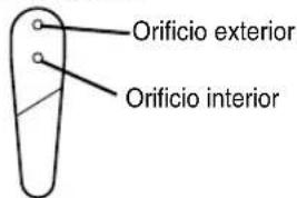 Orificio exterior Orificio interior