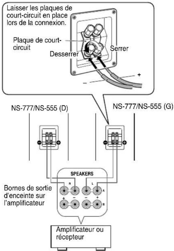 Laisser les plaques de court-circuit en place lors de la connexion. Plaque de court-circuit Desserrer Serrer + - NS-777/NS-555 (D) NS-777/NS-555 (G) Bornes de sortie d'enceinte sur l'amplificateur SPEAKERS Amplificateur ou récepteur