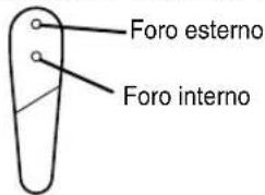 Foro esterno Foro interno