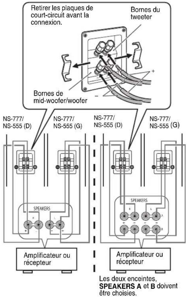 Retirer les plaques de court-circuit avant la connexion. Bornes du tweeter Bornes de mid-woofer/woofer NS-777/ NS-555 (D) NS-777/ NS-555 (G) NS-777/ NS-555 (D) NS-777/ NS-555 (G) SPEAKERS SPEAKERS Amplificateur ou récepteur Amplificateur ou récepteur Les deux enceintes, SPEAKERS A et B doivent être…