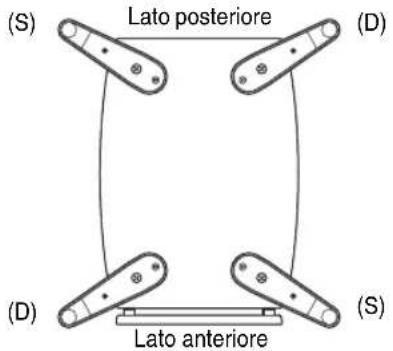 (S) Lato posteriore (D) (D) Lato anteriore (S)