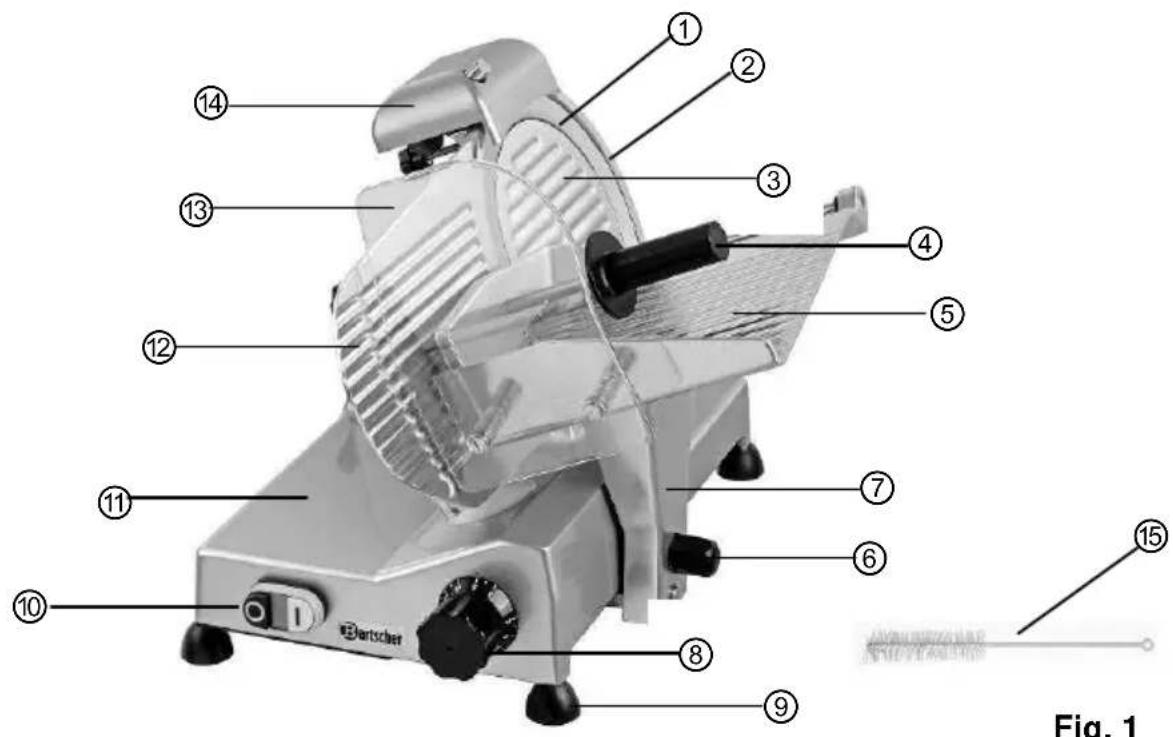 Bartscher Fig. 1
