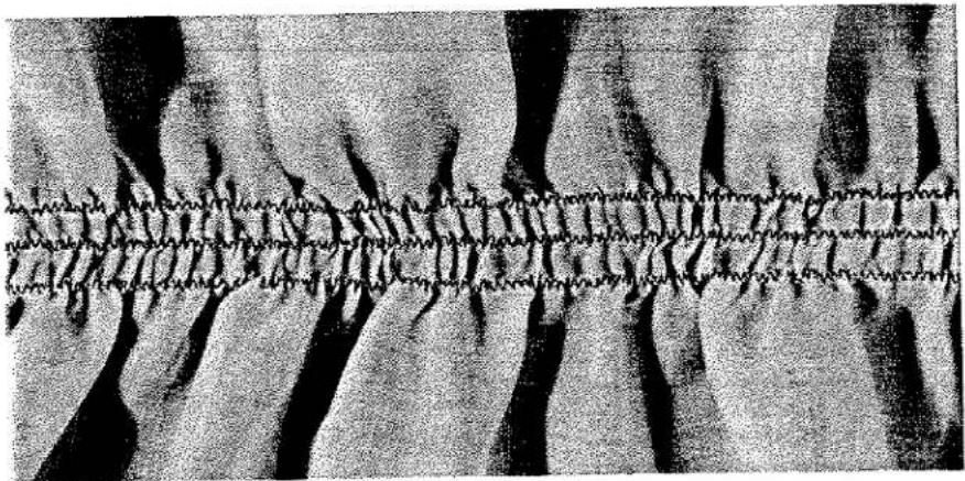Vue microscopique d'une structure de matériau en couches avec du fil barbelé incrusté (aucun texte ou symbole).