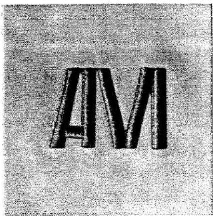 A M