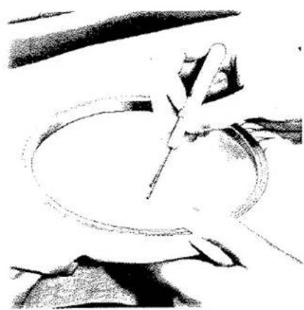Illustration d'une main tenant un petit objet au-dessus d'un bol, sans texte ni symbole visible