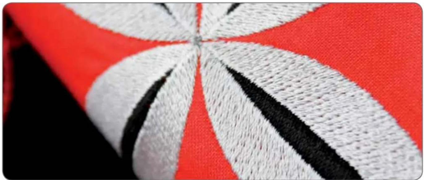 PFAFF creative 3.0 - La combinaison de broderie est trop complexe - 2