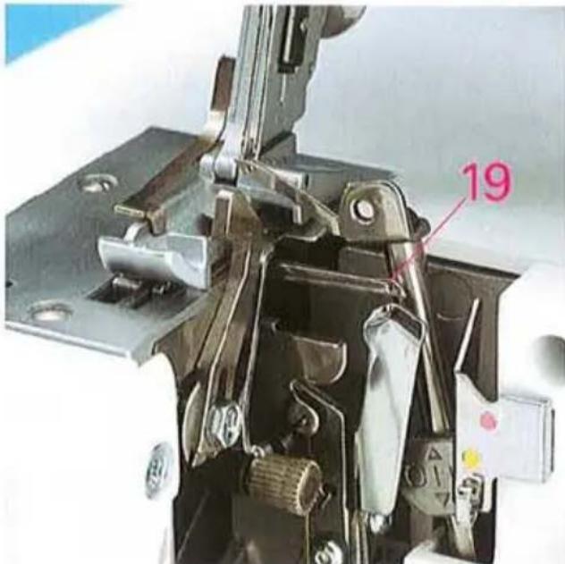 19