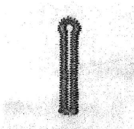 Motif abstrait de points noirs formant une forme stylisée ressemblant à un U ou une flèche (sans texte ni symboles).