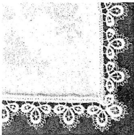 Cadre décoratif d'angle avec bordure florale et texture pointillée (aucun texte ou symbole)