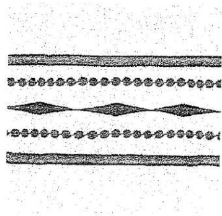 Trois tiges de plantes verticales avec des motifs ressemblant à des feuilles, sans texte ni symboles.